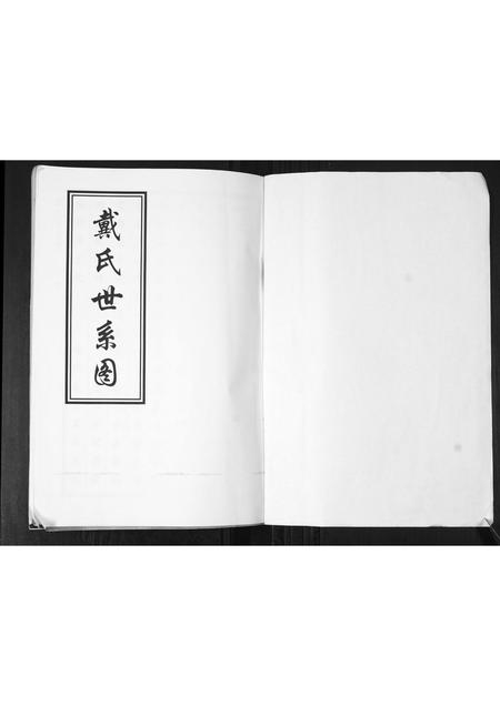 山东戴氏-戴氏世系图.pdf电子版预览图1