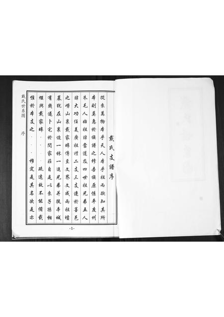 山东戴氏-戴氏世系图.pdf电子版预览图2