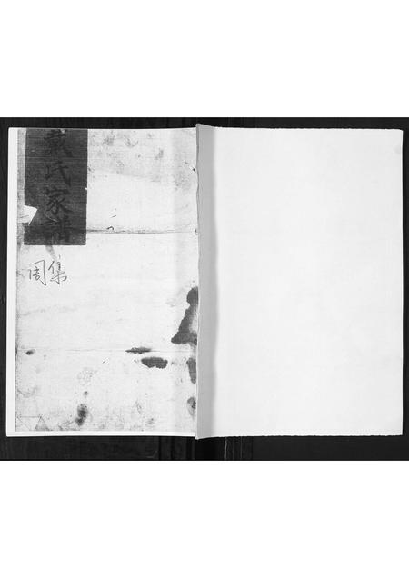 山东戴氏-戴氏家谱.pdf电子版缩略图