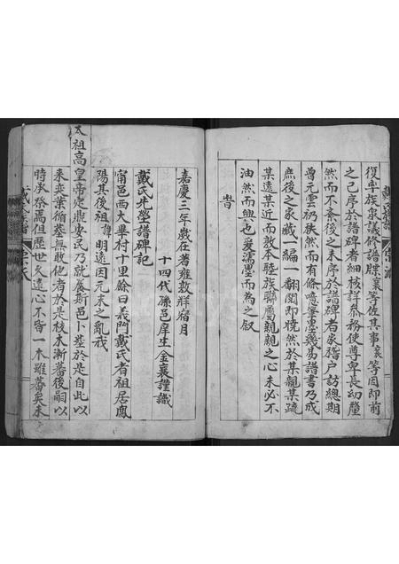 山东戴氏-戴氏族谱 [不分卷].pdf电子版预览图3