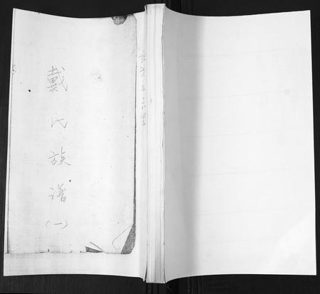 山东戴氏-戴氏族谱[不分卷].pdf电子版缩略图