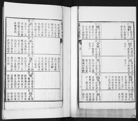 山东戴氏-戴氏族谱[不分卷].pdf电子版预览图3