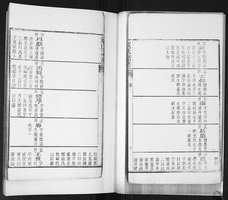 山东戴氏-戴氏族谱[不分卷].pdf电子版预览图5