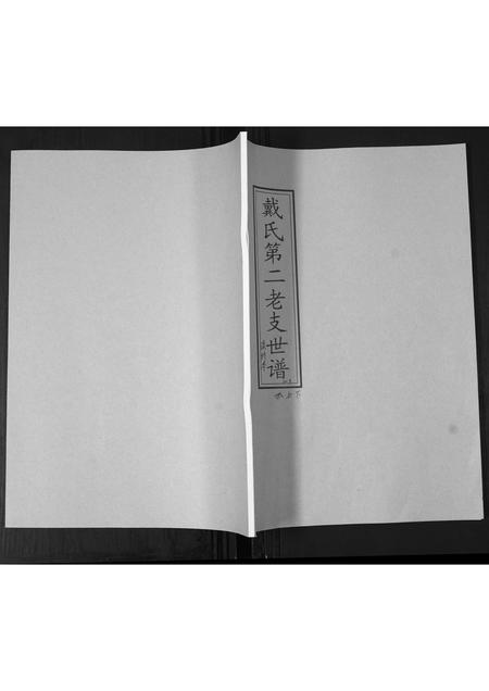 山东戴氏-戴氏第二老支世谱.pdf电子版缩略图