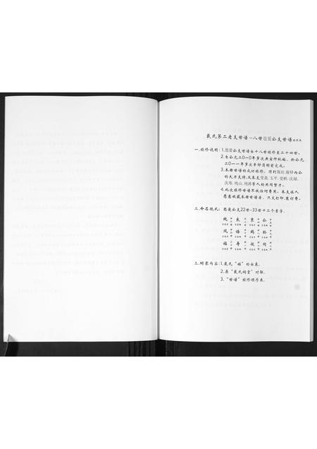 山东戴氏-戴氏第二老支世谱.pdf电子版预览图3