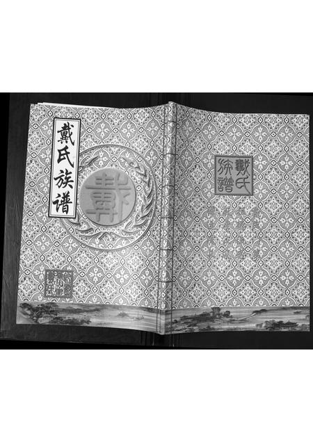 山东戴氏-鳌山卫戴氏族谱[不分卷].pdf电子版缩略图