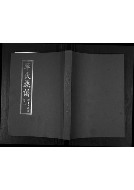 山东单氏-单氏族谱[2卷].pdf电子版缩略图