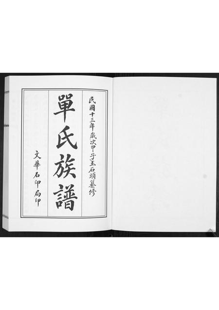 山东单氏-单氏族谱[2卷].pdf电子版预览图2
