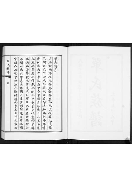 山东单氏-单氏族谱[2卷].pdf电子版预览图3