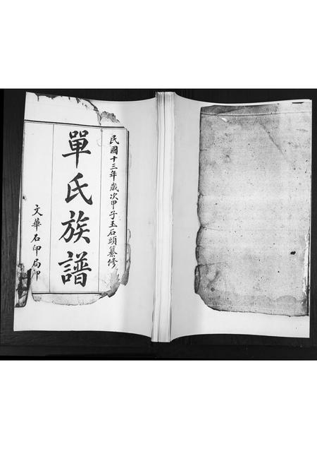 山东单氏-单氏族谱[不分卷].pdf电子版缩略图