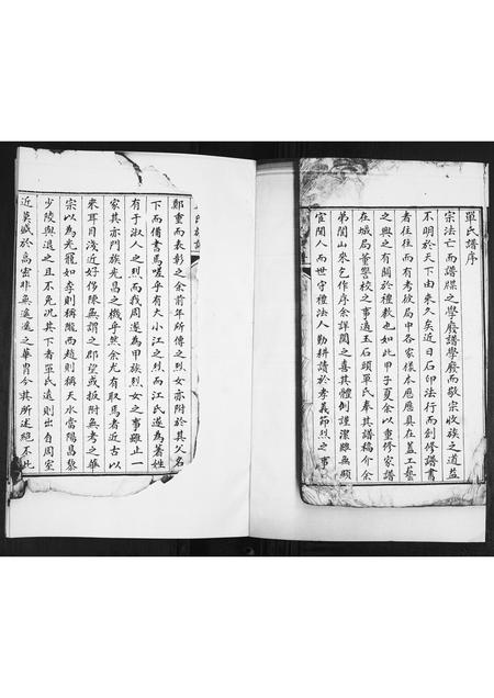 山东单氏-单氏族谱[不分卷].pdf电子版预览图1