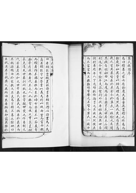 山东单氏-单氏族谱[不分卷].pdf电子版预览图3