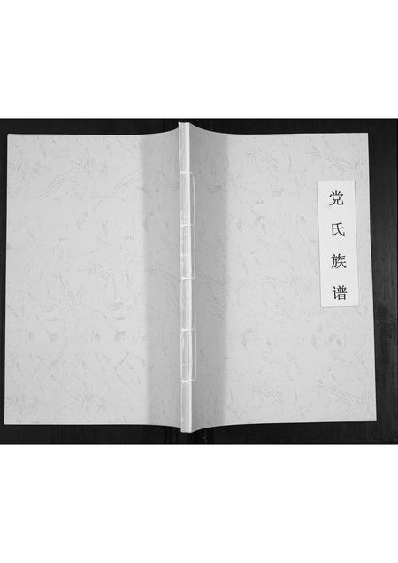 内蒙党氏-党氏族谱.pdf电子版缩略图