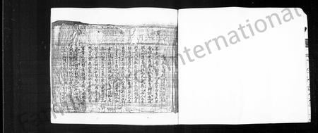 四川邓氏-邓氏分谱.pdf电子版预览图5