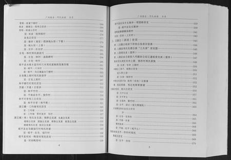 广西邓氏-邓氏族谱.pdf电子版预览图2