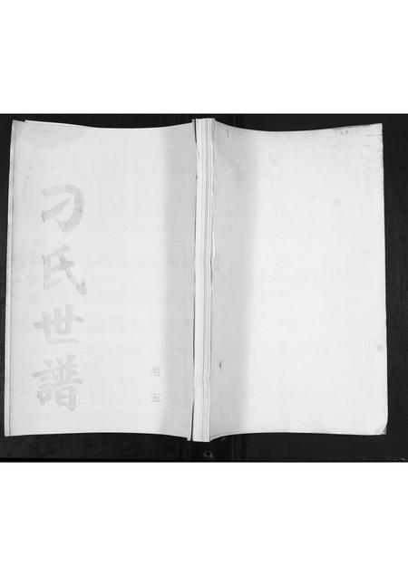 山东刁氏-刁氏世谱[5卷].pdf电子版缩略图