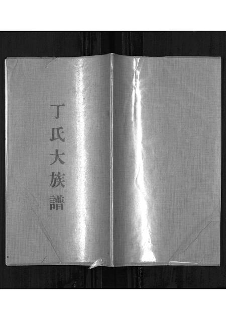 山东丁氏-丁氏大族谱[不分卷].pdf电子版缩略图