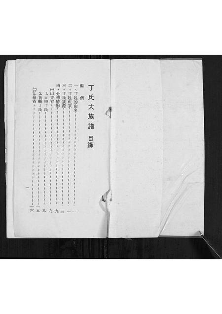 山东丁氏-丁氏大族谱[不分卷].pdf电子版预览图1