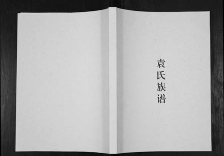 四川袁氏-袁氏族谱.pdf电子版缩略图