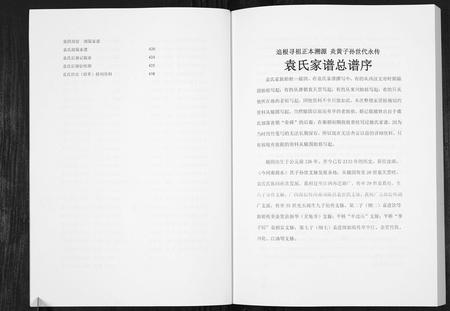 四川袁氏-袁氏族谱.pdf电子版预览图3