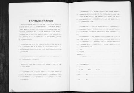 四川袁氏-袁氏族谱.pdf电子版预览图4