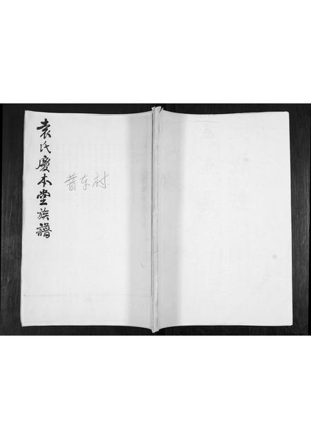 山东袁氏-袁氏庆本堂族谱.pdf电子版缩略图