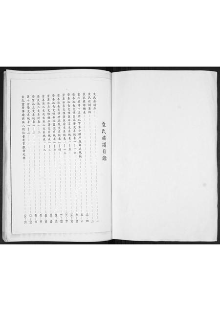 山东袁氏-袁氏庆本堂族谱.pdf电子版预览图1