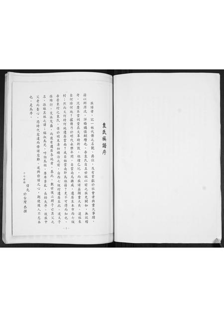 山东袁氏-袁氏庆本堂族谱.pdf电子版预览图2