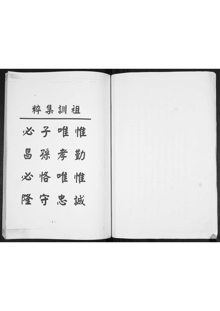 山东袁氏-袁氏庆本堂族谱.pdf电子版预览图3