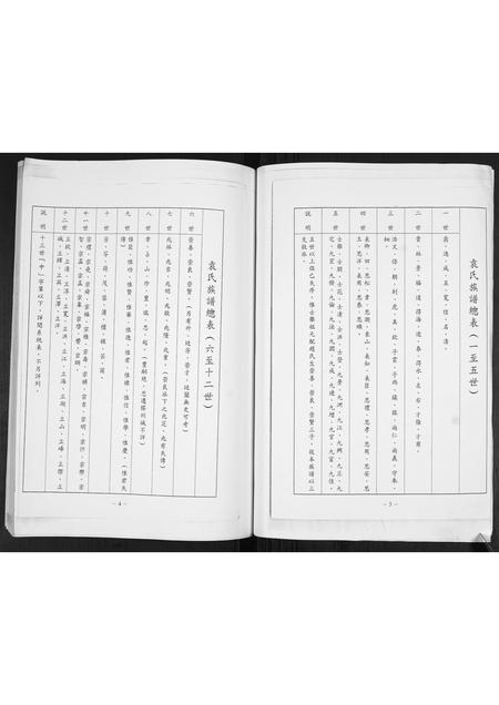 山东袁氏-袁氏庆本堂族谱.pdf电子版预览图4