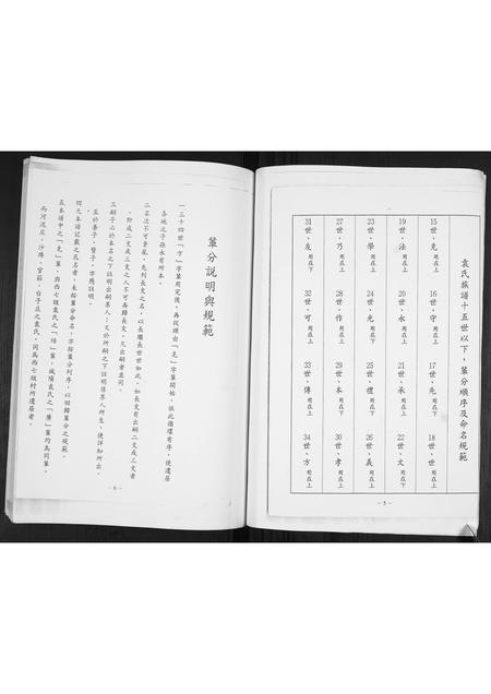 山东袁氏-袁氏庆本堂族谱.pdf电子版预览图5