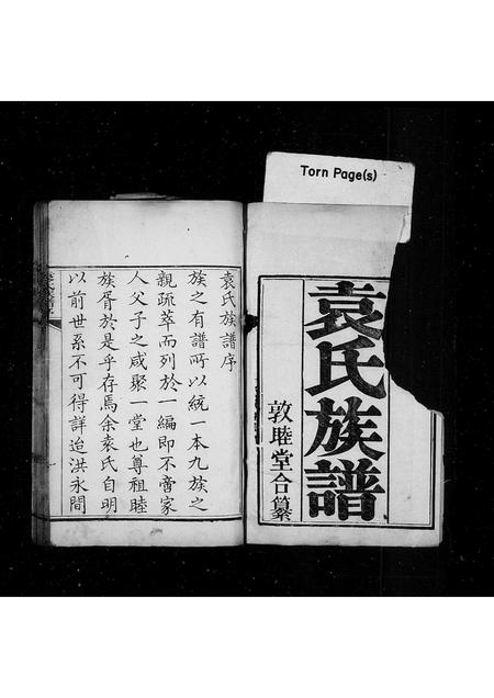 山东袁氏-袁氏族谱.pdf电子版预览图1