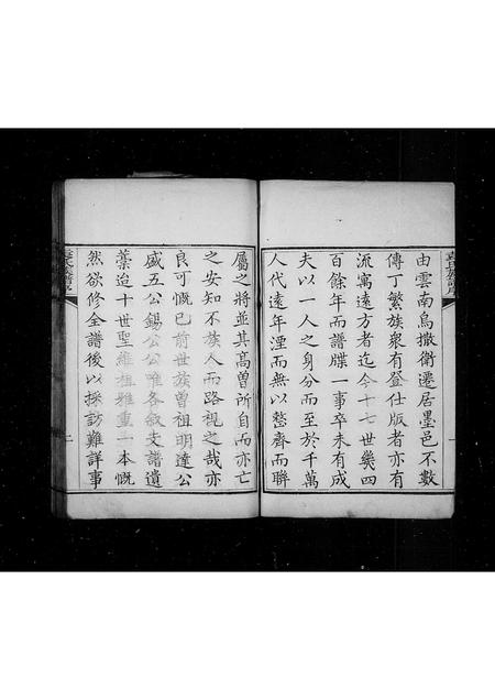 山东袁氏-袁氏族谱.pdf电子版预览图2