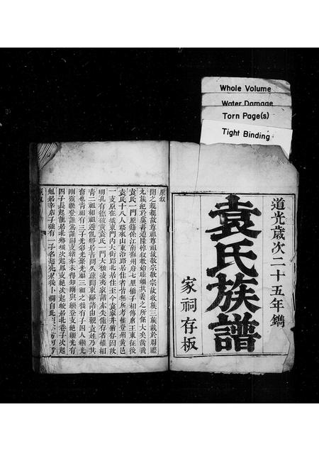 山东袁氏-袁氏族谱.pdf电子版预览图1