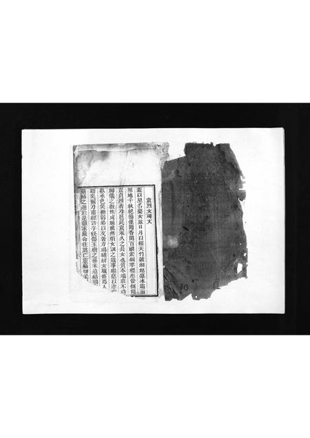 山东袁氏-袁氏族谱 [卷数不详](别名：Yuan Shi Zu Pu).pdf电子版预览图2