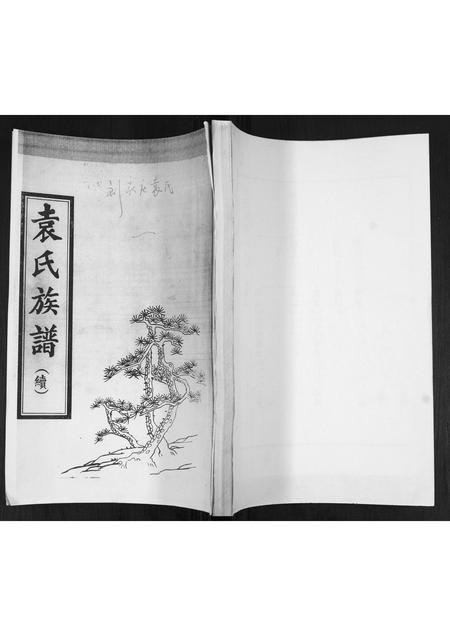 山东袁氏-袁氏族谱(续).pdf电子版缩略图