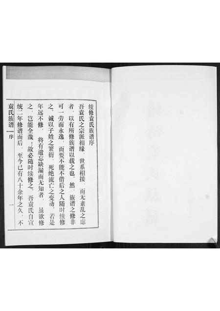 山东袁氏-袁氏族谱(续).pdf电子版预览图2