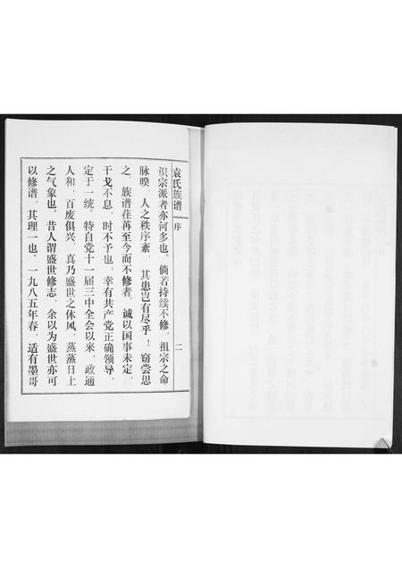 山东袁氏-袁氏族谱(续).pdf电子版预览图3