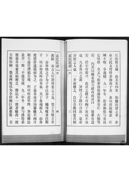 山东袁氏-袁氏族谱(续).pdf电子版预览图4