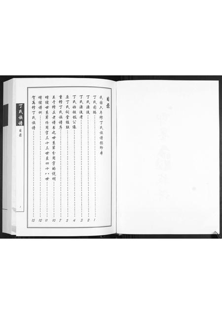 山东丁氏-丁氏族谱.pdf电子版预览图2