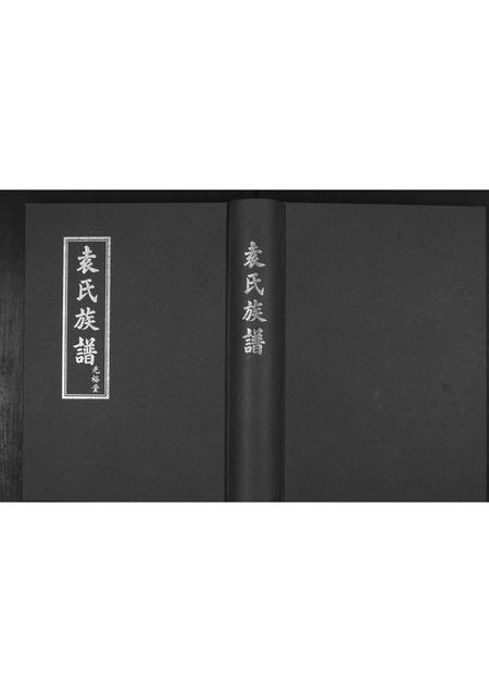 山东袁氏-袁氏族谱[不分卷].pdf电子版缩略图