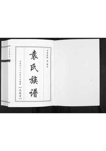 山东袁氏-袁氏族谱[不分卷].pdf电子版预览图1