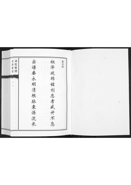 山东袁氏-袁氏族谱[不分卷].pdf电子版预览图2