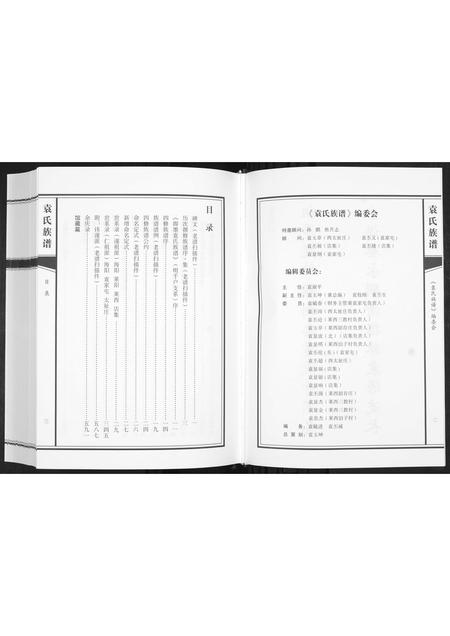 山东袁氏-袁氏族谱[不分卷].pdf电子版预览图3