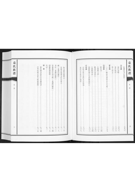 山东袁氏-袁氏族谱[不分卷].pdf电子版预览图4