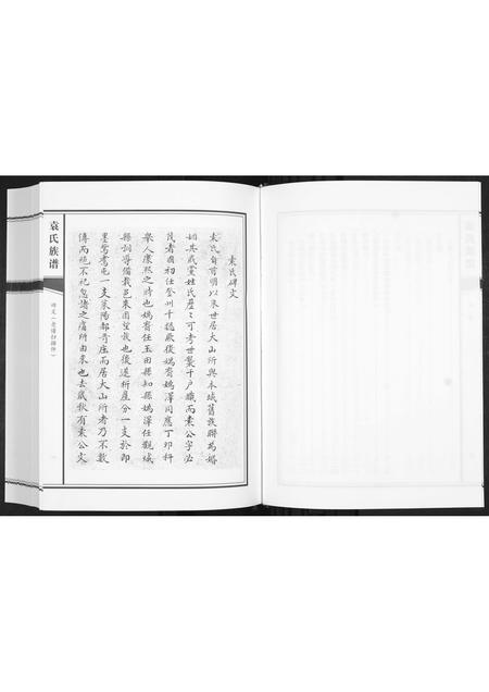 山东袁氏-袁氏族谱[不分卷].pdf电子版预览图5