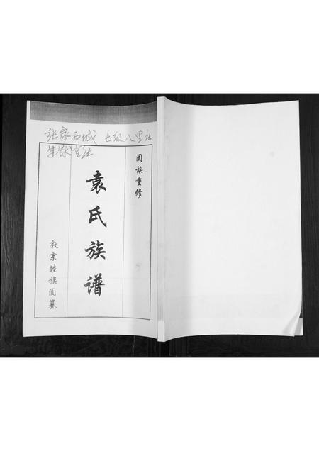 山东袁氏-袁氏族谱[不分卷].pdf电子版缩略图