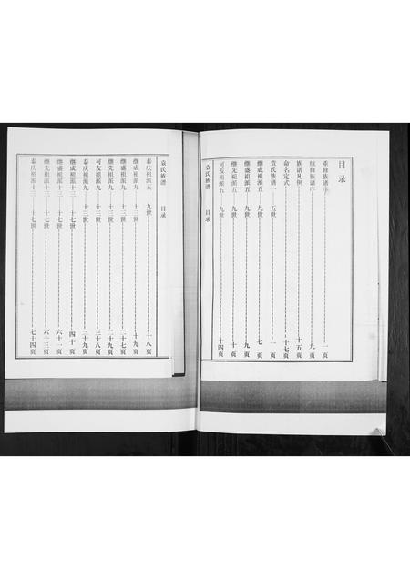 山东袁氏-袁氏族谱[不分卷].pdf电子版预览图2