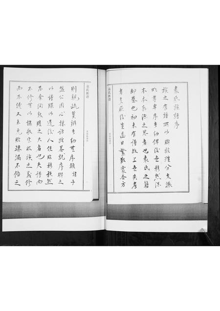 山东袁氏-袁氏族谱[不分卷].pdf电子版预览图3