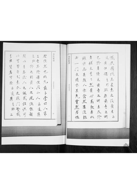 山东袁氏-袁氏族谱[不分卷].pdf电子版预览图4